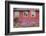 Home Buildings. Sisimiut. Greenland-Tom Norring-Framed Photographic Print