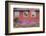Home Buildings. Sisimiut. Greenland-Tom Norring-Framed Photographic Print