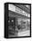 Home Farm Products Ltd Butchers Shop Front, Sheffield, South Yorkshire, 1966-Michael Walters-Framed Premier Image Canvas