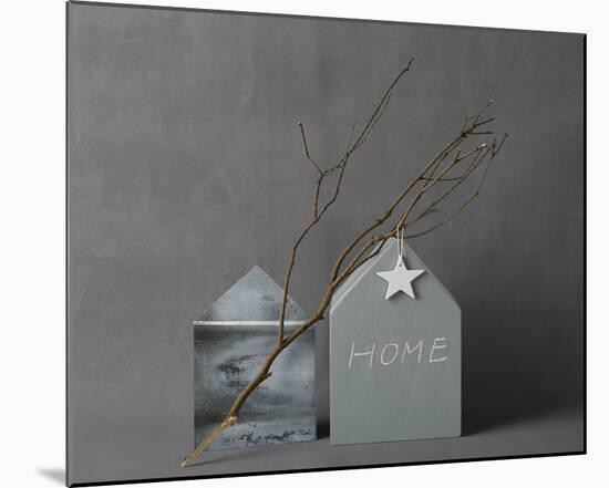 Home Life - Star-Camille Soulayrol-Mounted Giclee Print