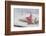 Home-made Christmas jewelry on cushion, still life-Andrea Haase-Framed Photographic Print