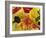 Home-made Noodles in Various Colours and Shapes-Ulrike Koeb-Framed Photographic Print