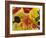 Home-made Noodles in Various Colours and Shapes-Ulrike Koeb-Framed Photographic Print