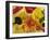 Home-made Noodles in Various Colours and Shapes-Ulrike Koeb-Framed Photographic Print