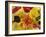 Home-made Noodles in Various Colours and Shapes-Ulrike Koeb-Framed Photographic Print