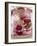 Home-Made Plum Jam-Eising Studio - Food Photo and Video-Framed Photographic Print
