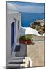 Home Ocean View-Larry Malvin-Mounted Photographic Print