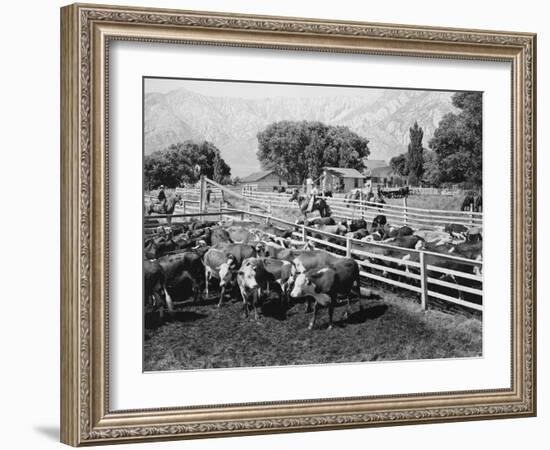 Home on the Range-null-Framed Photo