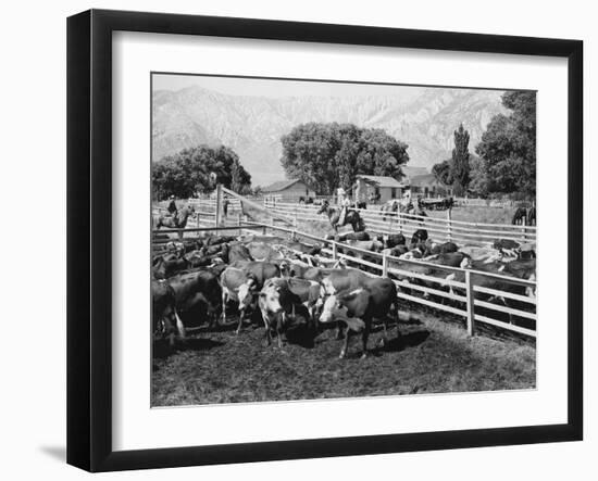 Home on the Range-null-Framed Photo