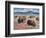 Home on the Range-Jack Sorenson-Framed Premium Giclee Print