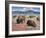 Home on the Range-Jack Sorenson-Framed Art Print