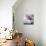 Home Sweet Home-Sarah Gardner-Mounted Art Print displayed on a wall