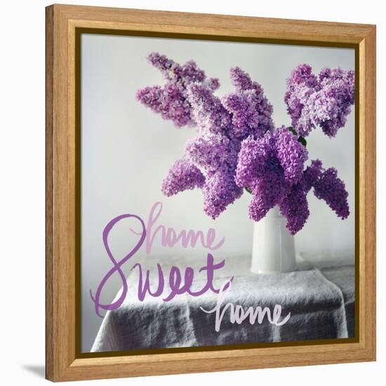 Home Sweet Home-Sarah Gardner-Framed Stretched Canvas
