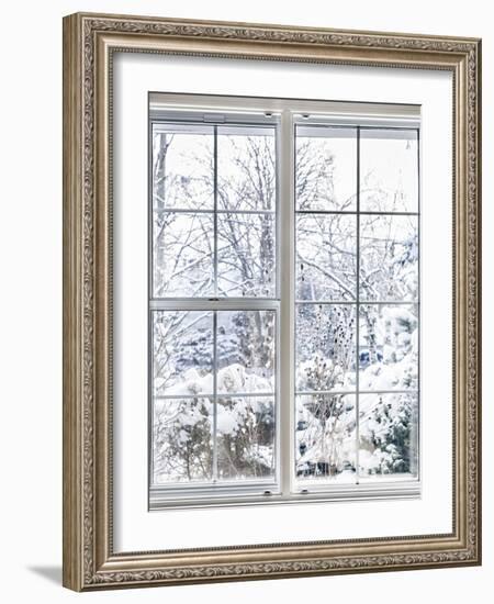 Home Vinyl Insulated Windows with Winter View of Snowy Trees and Plants-elenathewise-Framed Photographic Print