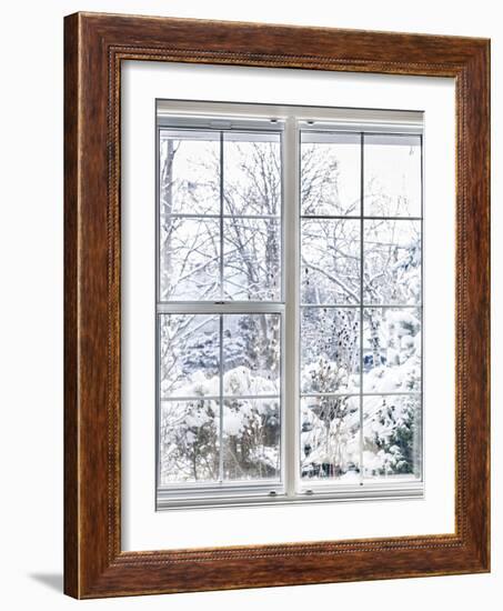 Home Vinyl Insulated Windows with Winter View of Snowy Trees and Plants-elenathewise-Framed Photographic Print