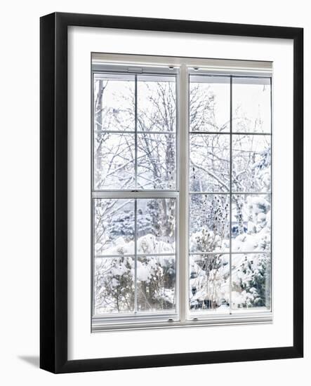 Home Vinyl Insulated Windows with Winter View of Snowy Trees and Plants-elenathewise-Framed Photographic Print