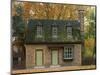 Home, Williamsburg, Virginia, USA-Charles Gurche-Mounted Photographic Print