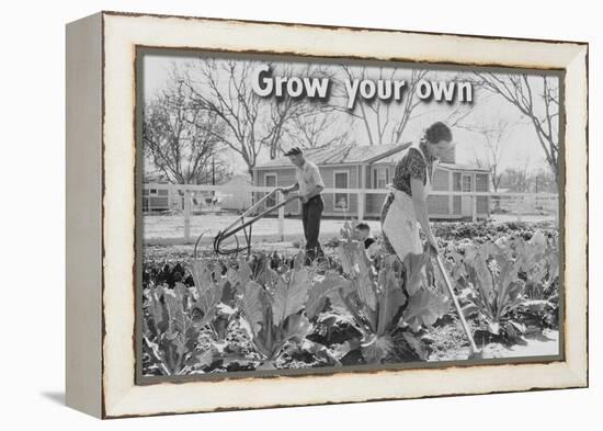 Homegrown Food Is Homegrown Wealth.-Dorothea Lange-Framed Stretched Canvas