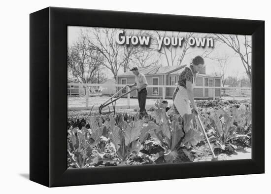 Homegrown Food Is Homegrown Wealth.-Dorothea Lange-Framed Stretched Canvas