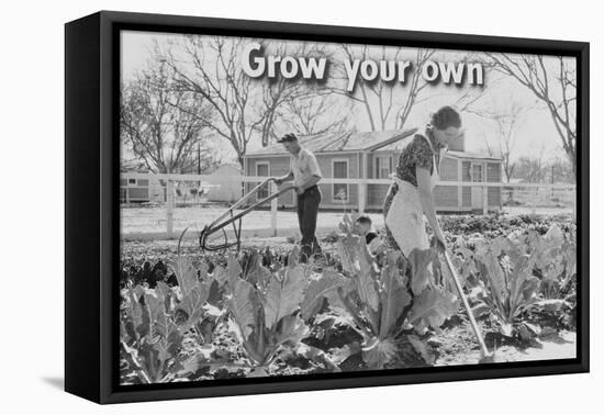 Homegrown Food Is Homegrown Wealth.-Dorothea Lange-Framed Stretched Canvas