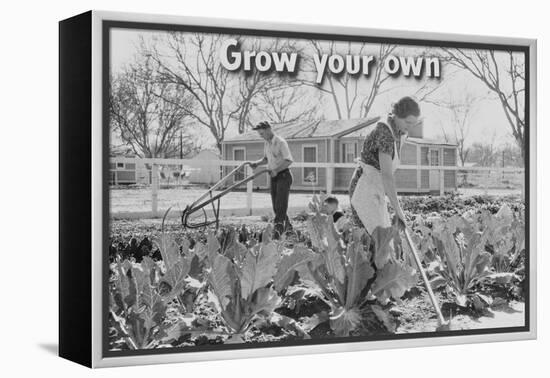 Homegrown Food Is Homegrown Wealth.-Dorothea Lange-Framed Stretched Canvas