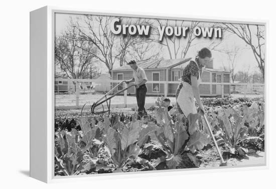 Homegrown Food Is Homegrown Wealth.-Dorothea Lange-Framed Stretched Canvas