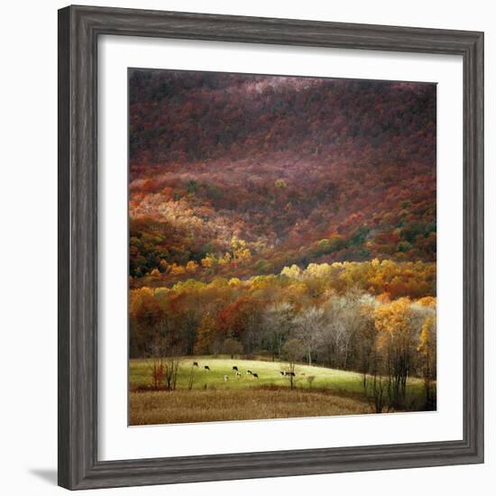 Homeland-Bill Coleman-Framed Giclee Print