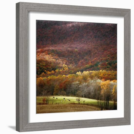 Homeland-Bill Coleman-Framed Giclee Print