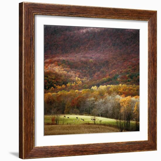 Homeland-Bill Coleman-Framed Giclee Print