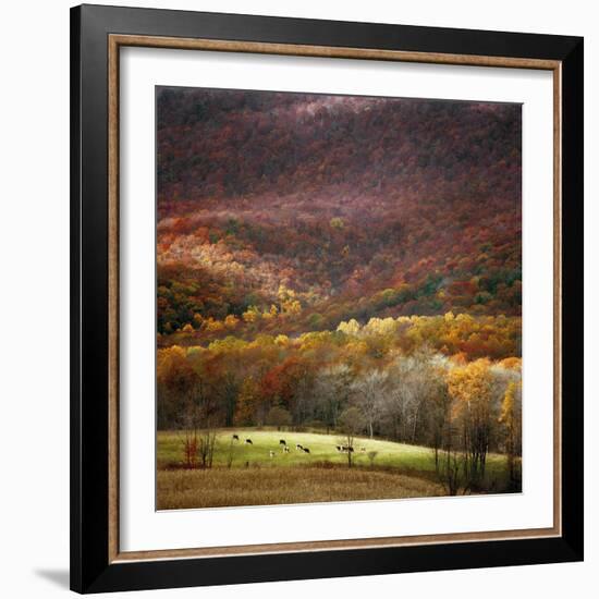 Homeland-Bill Coleman-Framed Giclee Print