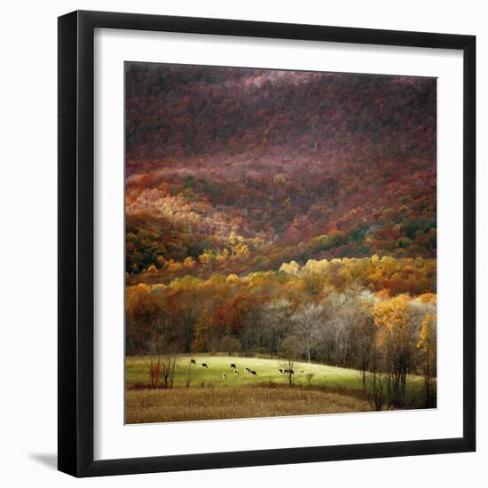 Homeland-Bill Coleman-Framed Giclee Print