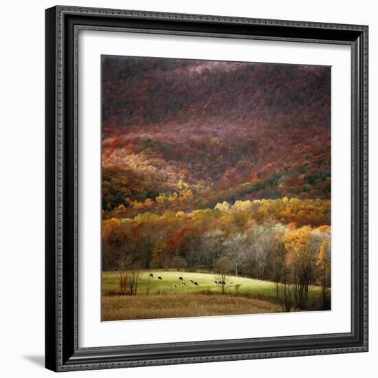 Homeland-Bill Coleman-Framed Giclee Print