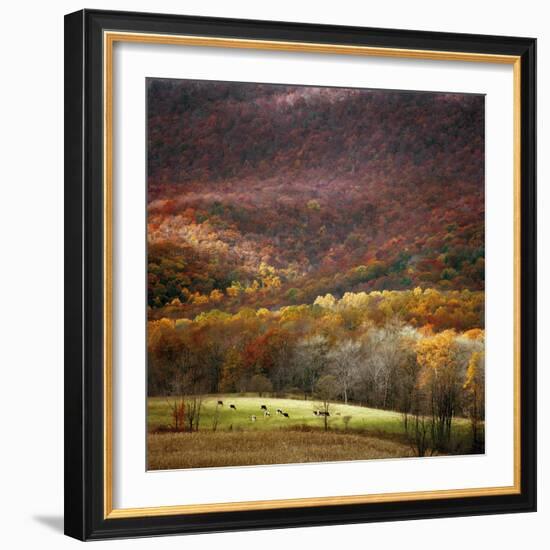 Homeland-Bill Coleman-Framed Giclee Print