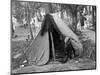 Homeless Boy, 1937-Russell Lee-Mounted Photographic Print