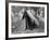 Homeless Boy, 1937-Russell Lee-Framed Photographic Print