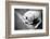 Homeless Stray Dog-Zoom-zoom-Framed Photographic Print