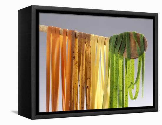 Homemade Fettuccini-Studio R. Schmitz-Framed Premier Image Canvas