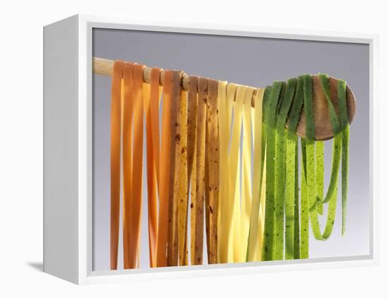 Homemade Fettuccini-Studio R. Schmitz-Framed Premier Image Canvas