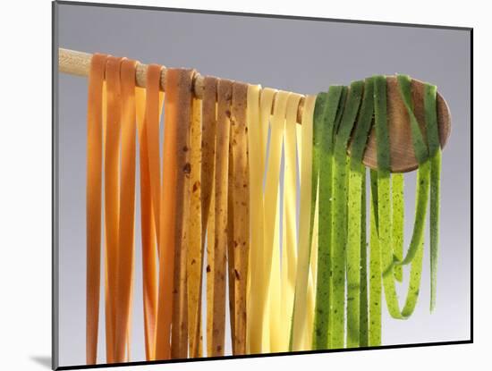 Homemade Fettuccini-Studio R. Schmitz-Mounted Photographic Print