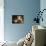 Homemade II-Amy Melious-Premium Giclee Print displayed on a wall