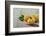 Homemade Pasta-tashka2000-Framed Photographic Print