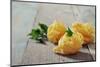 Homemade Pasta-tashka2000-Mounted Photographic Print