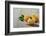 Homemade Pasta-tashka2000-Framed Photographic Print