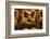 Homemade Soft Pretzels with Salt-bhofack22-Framed Photographic Print