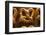 Homemade Soft Pretzels with Salt-bhofack22-Framed Photographic Print