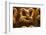 Homemade Soft Pretzels with Salt-bhofack22-Framed Photographic Print