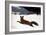 Homer: Fox Hunt, 1893-Winslow Homer-Framed Giclee Print