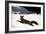 Homer: Fox Hunt, 1893-Winslow Homer-Framed Giclee Print