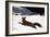 Homer: Fox Hunt, 1893-Winslow Homer-Framed Giclee Print