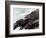 Homer: High Cliff, 1894-Winslow Homer-Framed Giclee Print